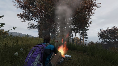 DayZ image