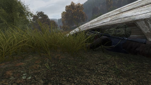 DayZ image