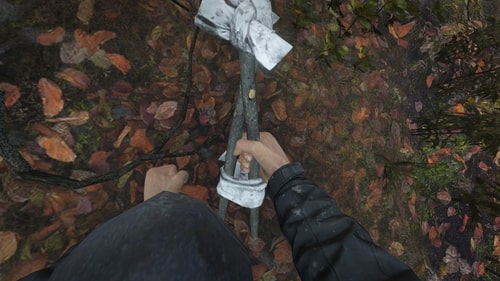 DayZ image