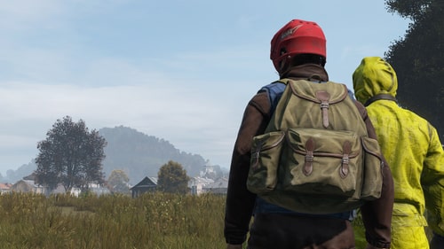 trustworthy companions in dayz how to identify players you can rely on