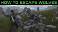 How to escape from wolves
