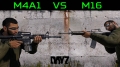 First look at the M16