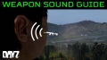 Weapon Sound Guide