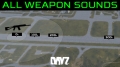Every Weapon Sound in D...